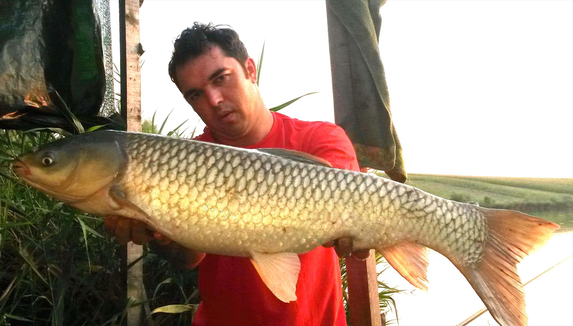 Magura 9 16 - 17 aug. - 20140816194214.jpg